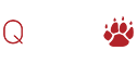 QTech gaming platform provider logo